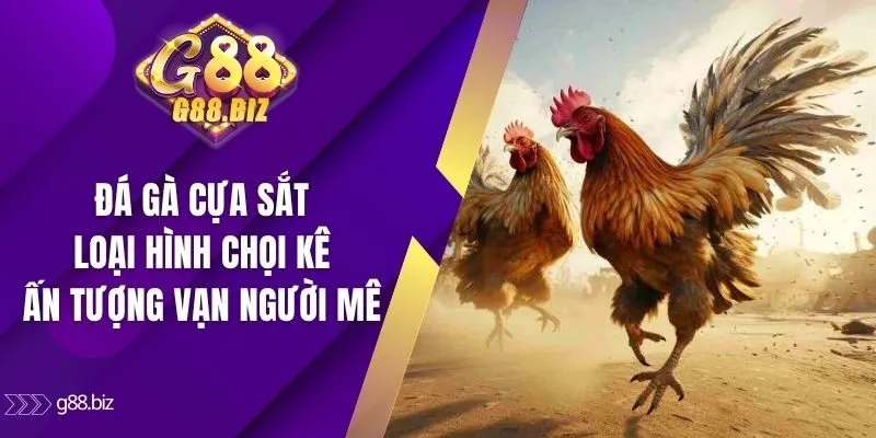 Đá gà cựa sắt