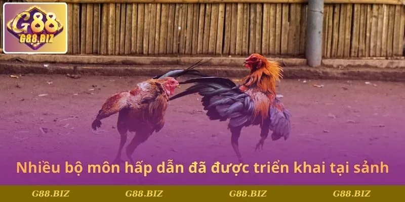 Nhiều bộ môn hấp dẫn đã được triển khai tại sảnh