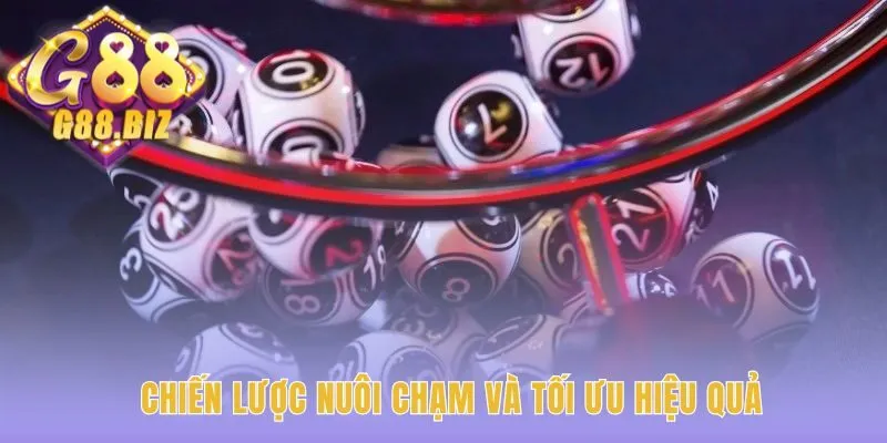 Phương pháp nuôi chạm 7 ngày cho đề 2 càng chính xác