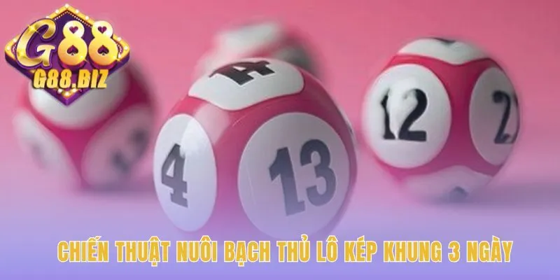 Chiến thuật Bạch Thủ Lô Kép dùng tỷ lệ vốn 1:3:10