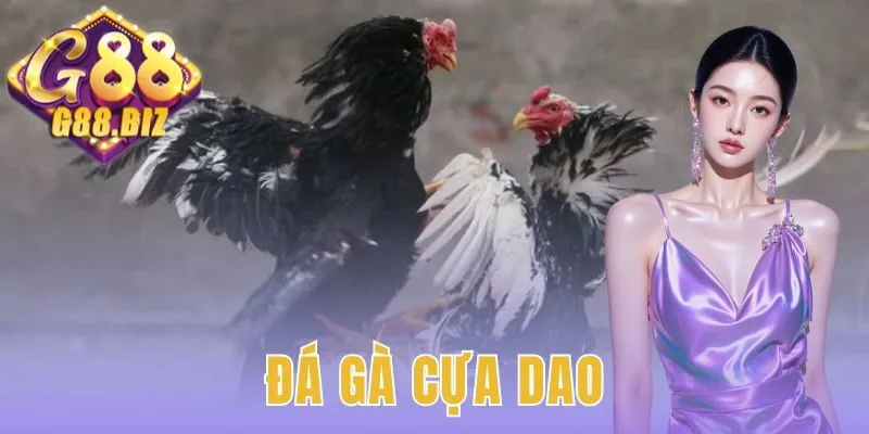 Đá Gà Cựa Dao