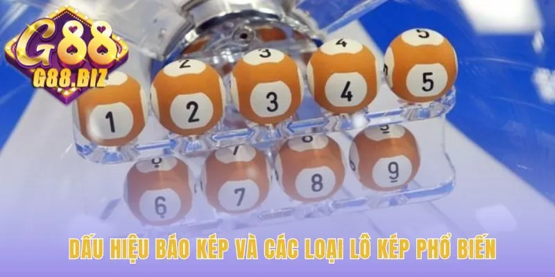 Dấu hiệu Bạch Thủ Lô Kép qua phân tích đầu câm